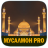 icon dilsoft.g.musalmon_pro_2021(TESTE RU-TJ-RU) 8.0