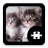 icon Cats & Kittens Puzzle(Gatos gatinho quebra-cabeça) 1.5.1