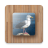 icon Bird Puzzle Games() 2.31