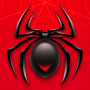 icon Spider Solitaire