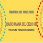 icon RADIO MANA DEL CIELO.(Rádio Mana del Cielo HN)