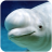 icon The Beluga Whale(The Beluga Whale
) 1.1.1