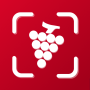 icon WineID()