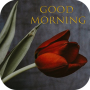 icon Romantic Morning(Bom dia Flores Rosas GIF
)