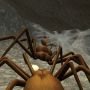 icon Spider Colony Simulation 3D()