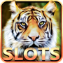 icon Wild Cats Slots(Slot Machine: Wild Cats)