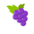 icon Catcher Grapes(Recolha Uvas) 2.01