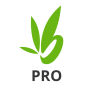 icon Bamboo Pro