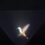 icon Vyomy 3D Hologram Hummingbird (Beybird do holograma de Vyomy 3D)