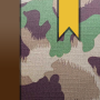 icon iOf