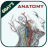 icon Anatomy(Gray's Anatomy - Anatomy Atlas
) 5.8