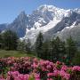 icon Relax Mountain: sleep sounds (Relax Mountain: sons para dormir)