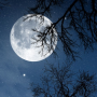 icon Relax Night: sleep sounds (Relax Night: sons de sono)