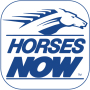 icon Horses Now (Cavalos Agora)