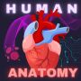 icon Human Anatomy E Theories (Anatomia Humana E Teorias
)
