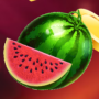 icon Wild Fruits(Frutas Selvagens
)