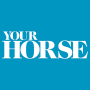 icon Your Horse Magazine (Sua revista Horse)
