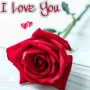 icon Love Romantic Flowers GIF (Amor Flores Românticas GIF)