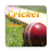 icon net.appozuri.crickvideoplayer(Crick Player - Assistir Cricket HD Videos
) 1.0