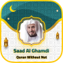 icon Saad Al Ghamdi Quran Offline (Saad Al Ghamdi Alcorão Offline)