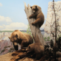 icon Puzzles: Animals(Quebra-cabeça: Animais)