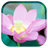 icon Lotus(Lotus Live Wallpaper) 1.0.7
