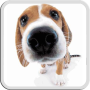 icon Dog Licks Screen LWP (GUIA DE LICKS DOG LWP GRÁTIS)