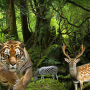 icon Angry Leopard - Chase Animals