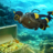 icon Scuba Diver Treasure Hunt(Scuba Diver Natação Treasure) 1.2
