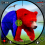 icon Wild Bear Animal Shooting Game(Jungle Bear Hunting Simulator)