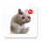 icon com.proWAStickerApps.catsmemes.memesdegatos(Cat Memes Adesivos WASticker) 1.6.0