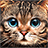 icon Kitty Cat Live Wallpaper(Gatinho gato ao vivo papel de parede) 2.7