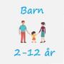 icon Barnas Plattform(A plataforma infantil)