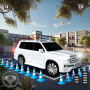 icon Prado Car Parking Games 2024
