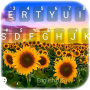 icon Sunflower Field Keyboard Background (Girassol remoto Fundo do teclado de campo
)