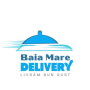 icon Baia Mare Delivery(Entrega em Baia Mare)