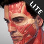 icon Action Anatomy Lite (Ação Anatomia Lite)