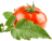 icon tj.agroinform.tomato(Tomato: from 