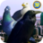 icon City Birds Simulator(Simulador de Aves da Cidade) 1.2
