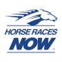 icon Horses Now(HorseRacesNow Meter App - Calculadora de)