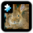 icon Rabbit(Quebra-cabeça: coelho) 2.0