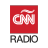 icon AM 950(CNN Radio Argentina
) 1.1.1