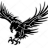 icon Tienda Aguila Negra(Tienda Águila Negra
) 20.0.0