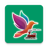 icon 4.6.12
