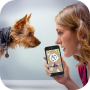 icon Dog Language Translator(Dog Language Translator Simulator - Talk to Pet
)