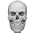 icon Human skeleton Anatomy(Sistema Ósseo em 3D (Anatomia)) 3.41