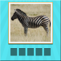icon Animals Quiz(Quiz de animais - adivinhe e aprenda)