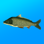 icon com.andromeda.truefishing(Pesca Real. Simulador)