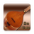 icon Persian Setar(Saz Persa Setar Pro) 2.2