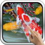 icon Interactive Koi Fish 3D (Peixe Koi Interativo 3D)